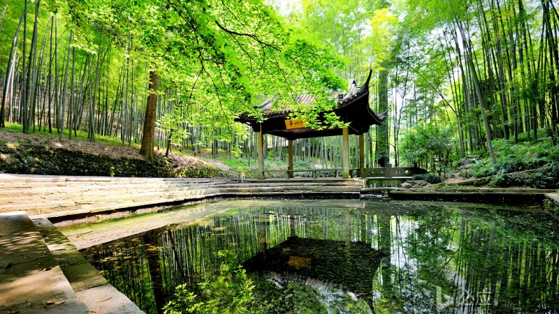 杭州,清明时节的云栖竹径,亭子,美丽的竹林,静谧,风景桌面壁纸