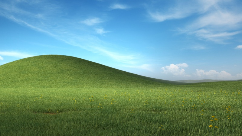 微软 Windows XP 蓝天白云绿草地 蒲公英风景壁纸