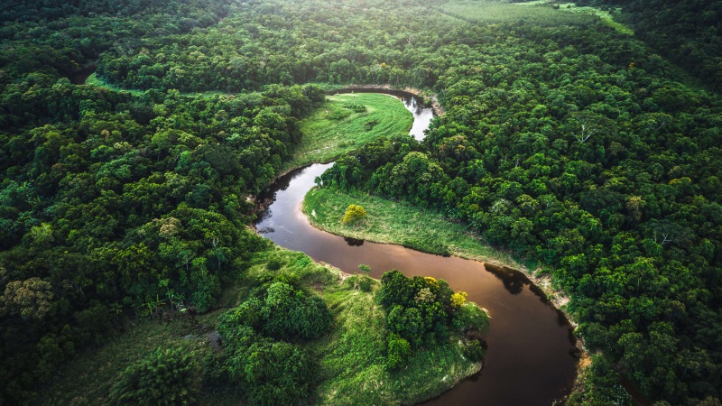 微软Win10绿色丛林河流风景高清2k壁纸