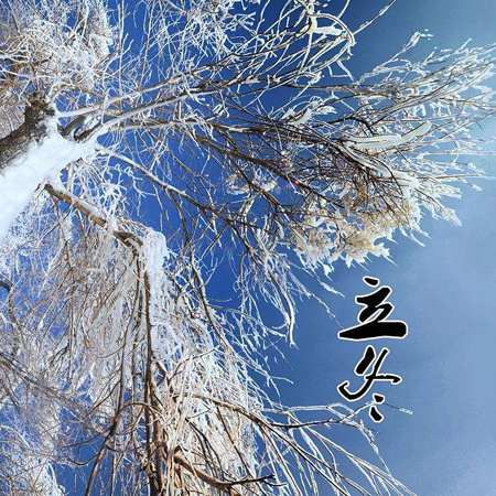 2021唯美的立冬背景图片很好看 一口饺子补嘴空暖意罐迎立冬